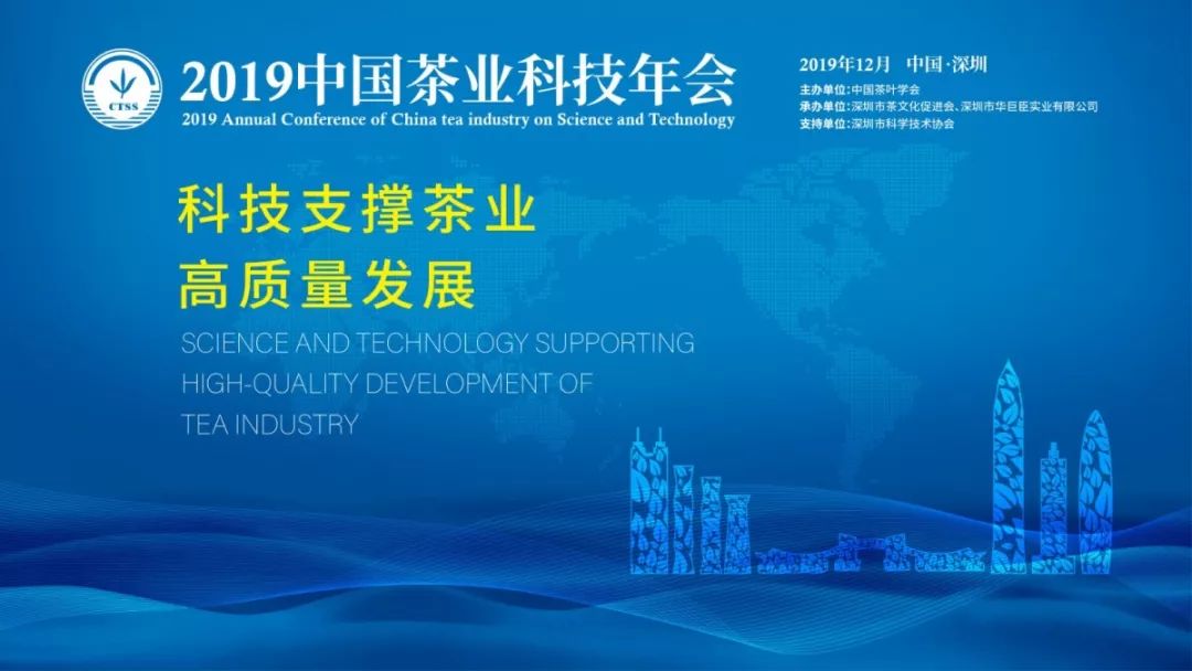 探索澳门未来之光，2024-2025年澳门正版资料解析与全面释义