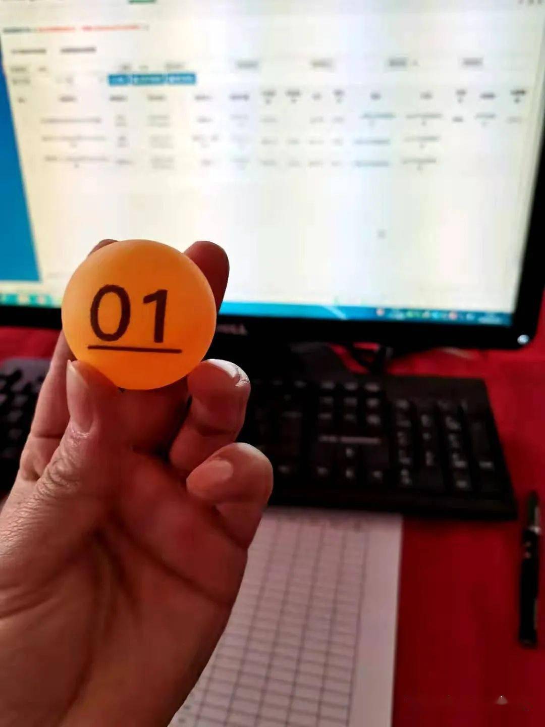 白小姐中特期期中奖结果，全面贯彻与解释落实的重要性