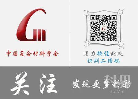 白小姐一肖一码，全面释义与解释落实的探究