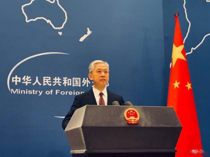 温刚董事长被强制执行的原因，深度解析与落实策略