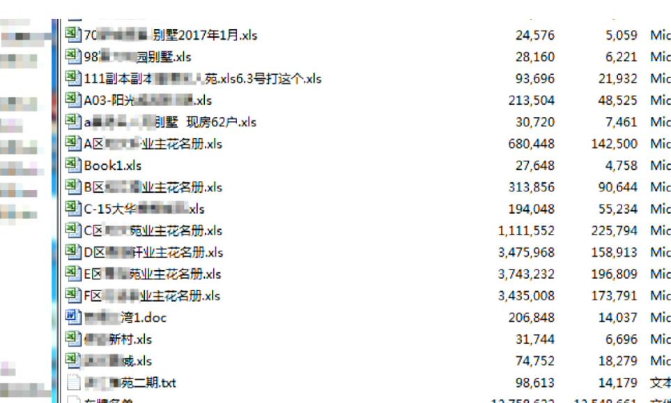 白小姐一肖一码必中一肖一码，全面释义与解释落实