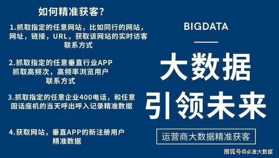 新门内部资料精准大全，释义解释与落实的深度探讨