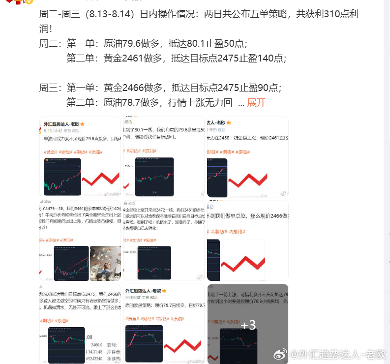 管家波一肖一码，精准解析与落实策略的最佳精选