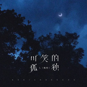 可笑的孤独DJ在线试听，音乐背后的故事与感悟