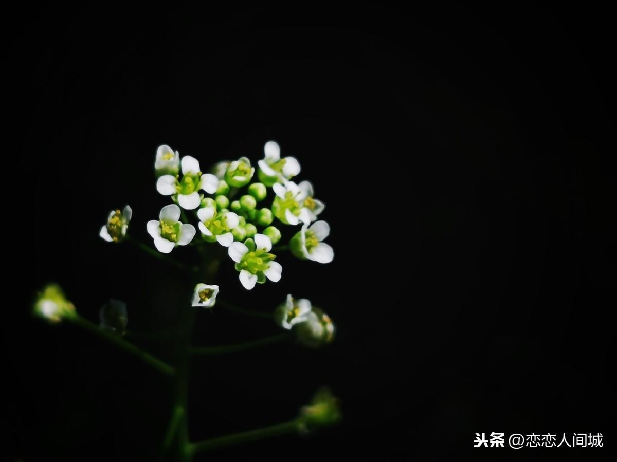 可能否木小雅DJmp3下载，音乐世界的探索之旅