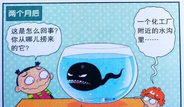 第4037页