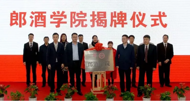 康复人才招聘信息，打造专业团队，共建健康未来