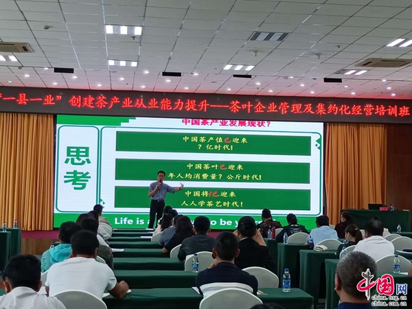 开阳县人才网，连接人才与机遇的桥梁