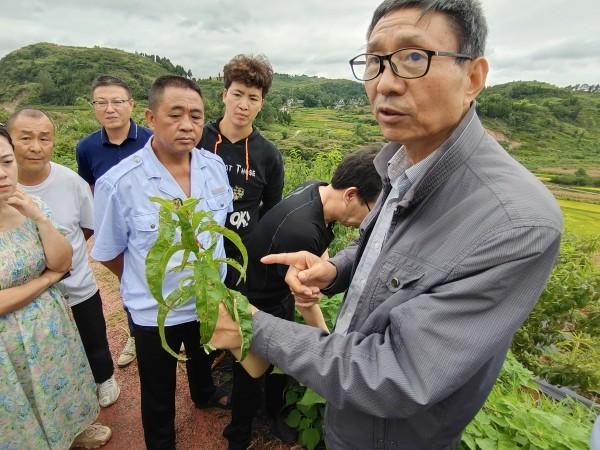 开阳人才招聘网报名——一站式求职服务的新选择