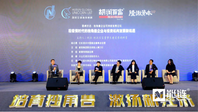 开封人才网站，连接人才与机遇的桥梁