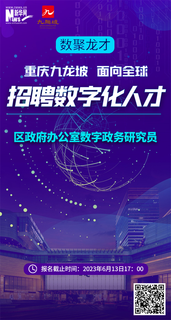九龙坡人才网，连接人才与机遇的桥梁