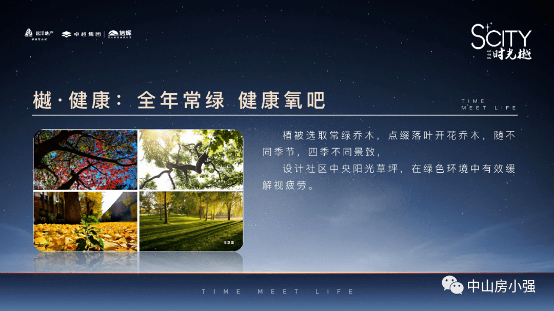 九甲最新招工信息全面解析