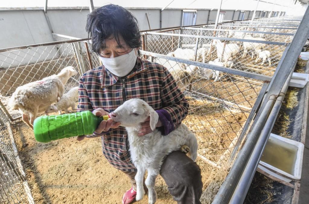 景县报考公务员条件详解