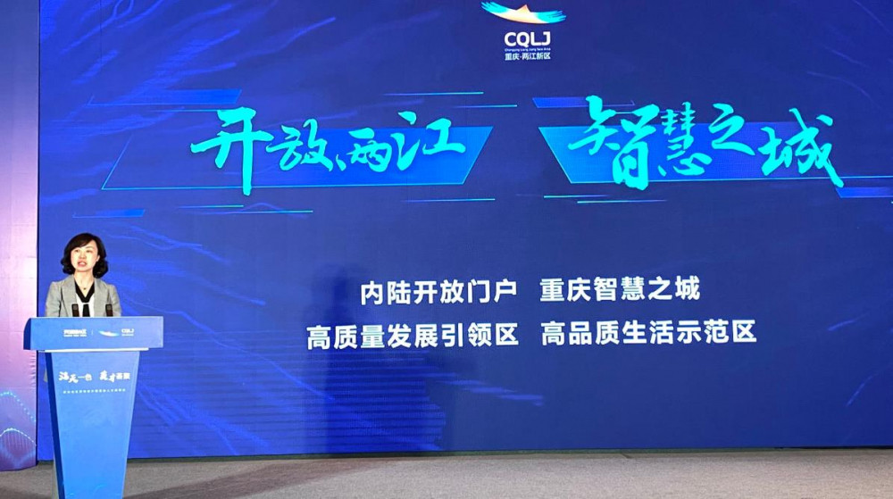 景德镇招聘网——连接人才与机遇的桥梁