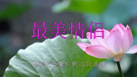 经典老歌最好的歌词大全