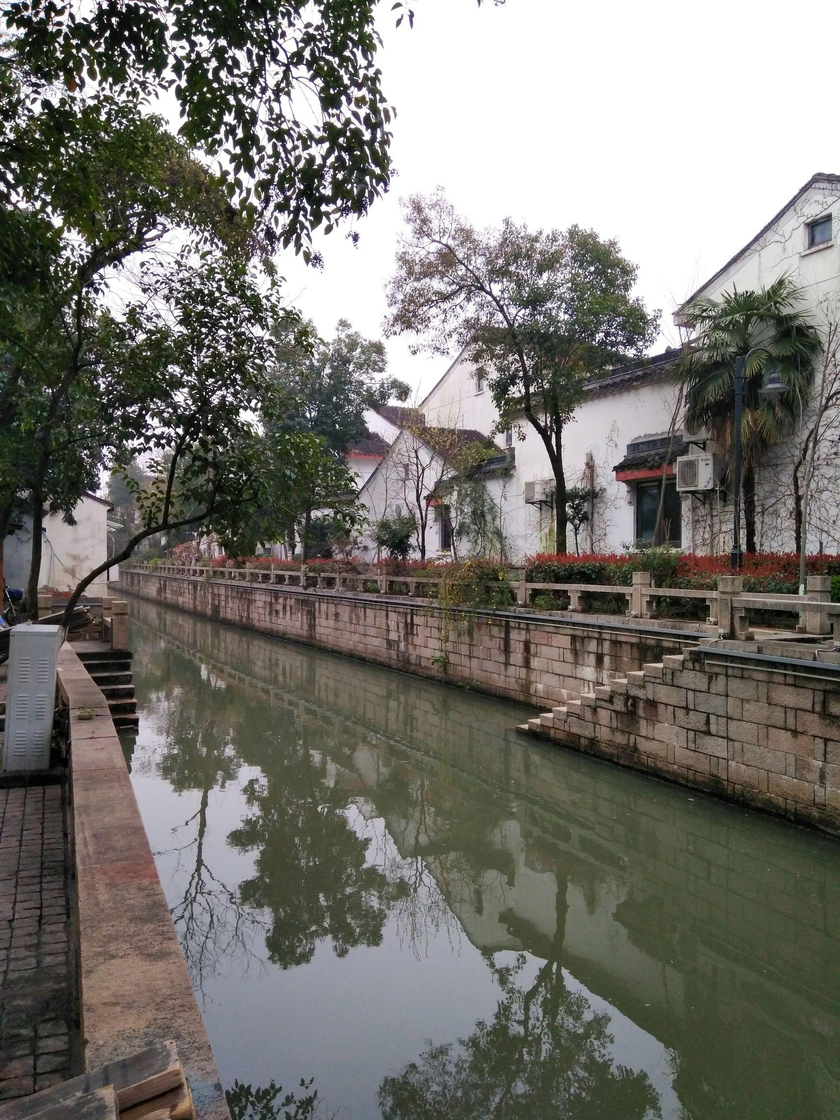 经典老歌现场弹唱视频的魅力与影响