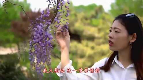 经典老歌情歌伴奏视频，重温旧时光的美好旋律