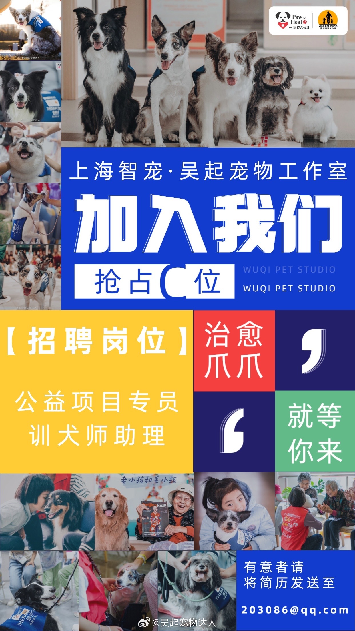 焦作专业宠物人才网招聘——寻找宠物行业的精英