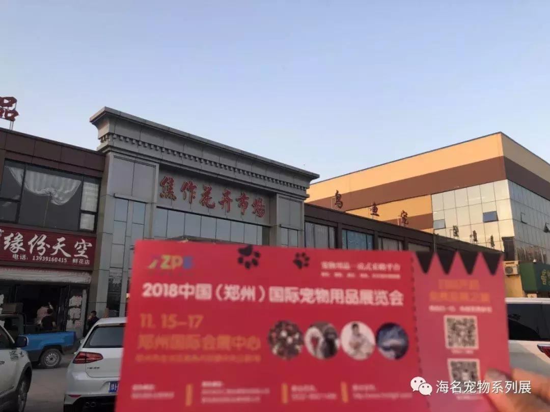 焦作专业宠物人才网站——连接宠物行业精英与求职者的桥梁