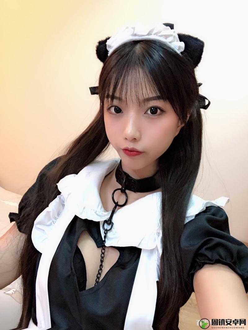 探索浆果儿DJ，在线观看的音乐魅力与独特体验