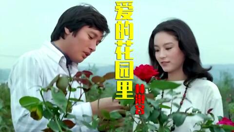 姜育恒经典歌曲老歌精选，时光流转中的旋律之美