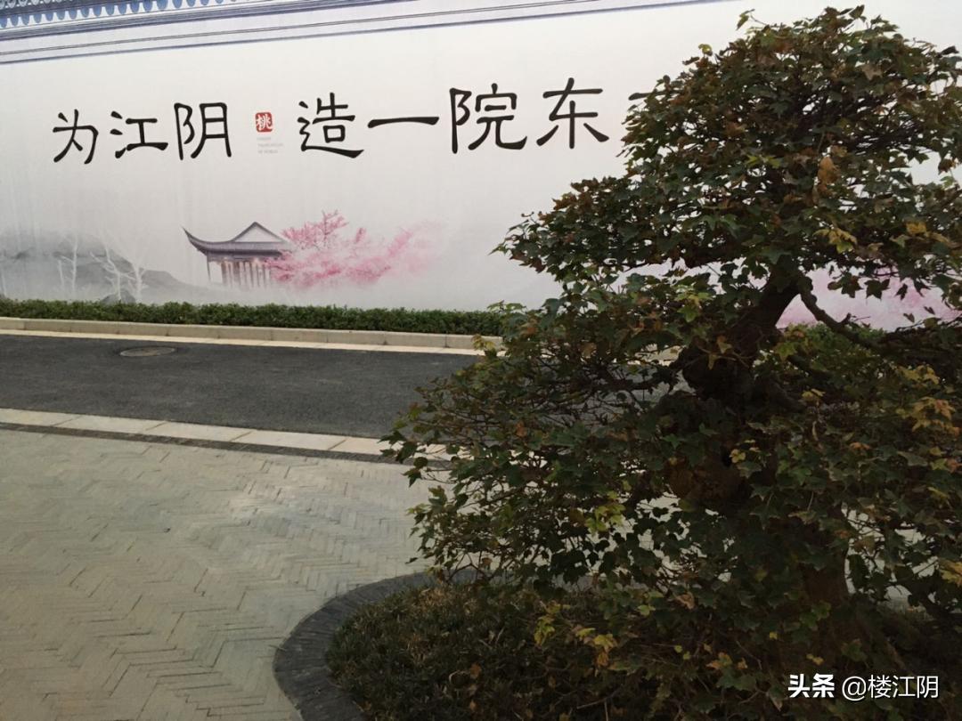 创业 第216页