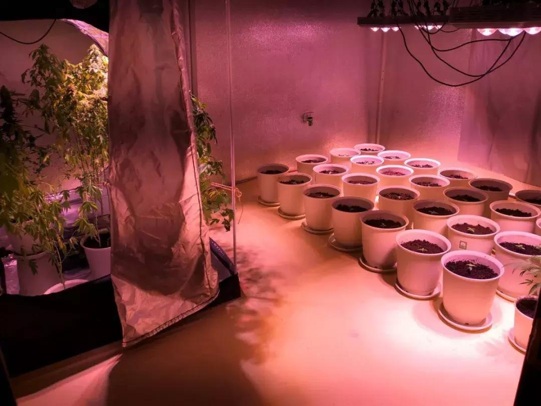 江西人才网与南昌人才网，人才汇聚的繁荣之地