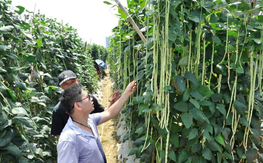 江西农业人才招聘信息网——连接农业梦想与现实的重要桥梁
