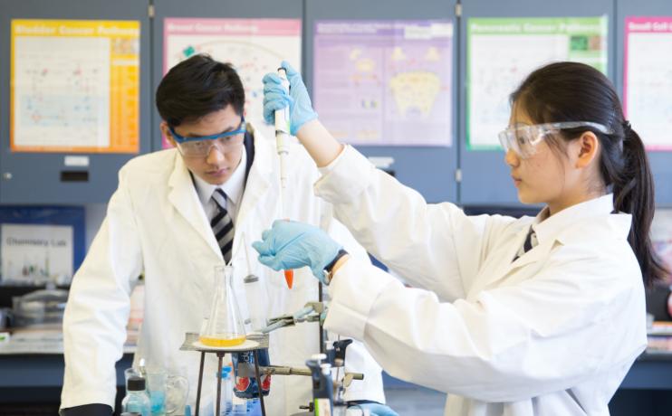 江苏高校人才招聘网——连接人才与高校的重要桥梁