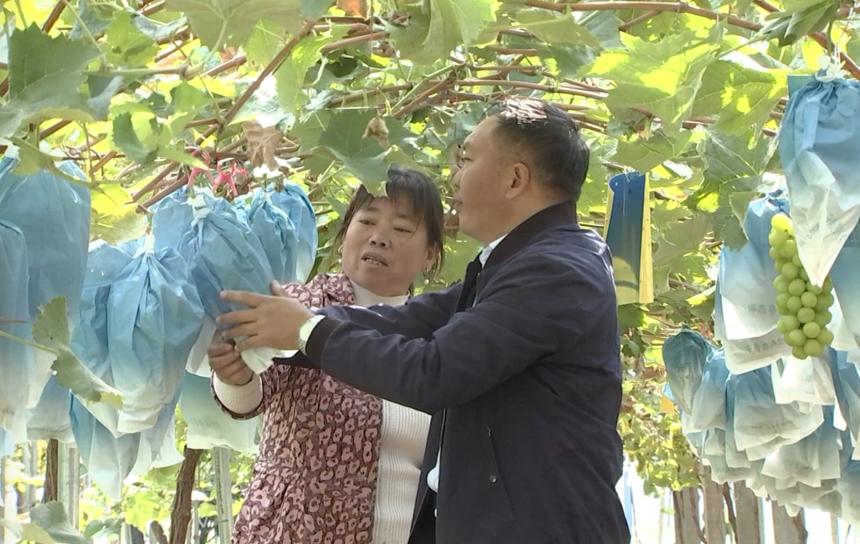 江苏高等自学考试网，连接知识与实践的桥梁