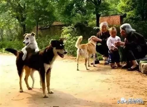 江苏阜宁人才网站——连接人才与机遇的桥梁