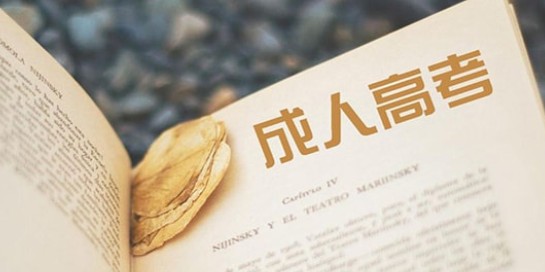 江苏成人高考自学考试网，助力梦想起航的坚实之翼