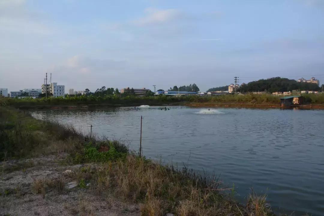 江门市蓬江区人才网，连接人才与机遇的桥梁