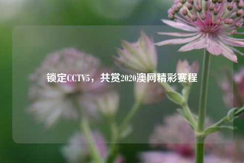 锁定CCTV5，共赏2020澳网精彩赛程