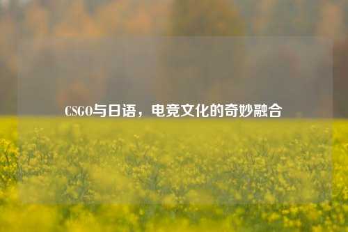 CSGO与日语，电竞文化的奇妙融合