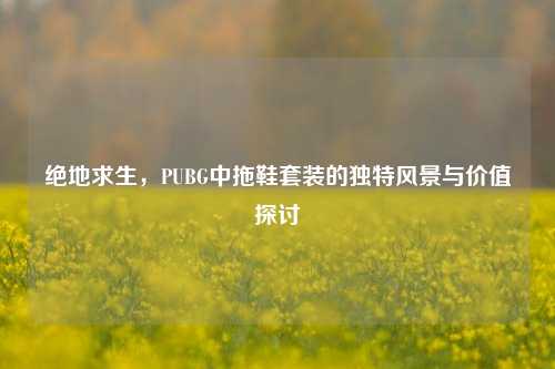 绝地求生，PUBG中拖鞋套装的独特风景与价值探讨