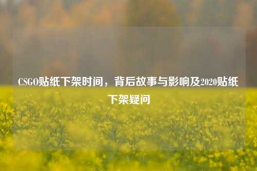 CSGO贴纸下架时间，背后故事与影响及2020贴纸下架疑问