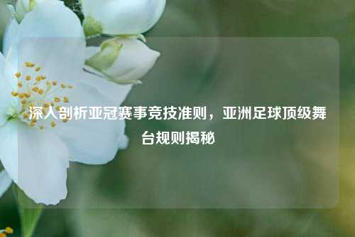 深入剖析亚冠赛事竞技准则，亚洲足球顶级舞台规则揭秘