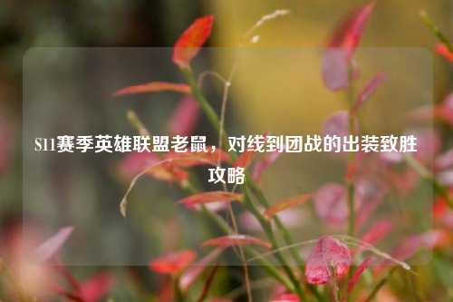 S11赛季英雄联盟老鼠,对线到团战的出装致胜攻略