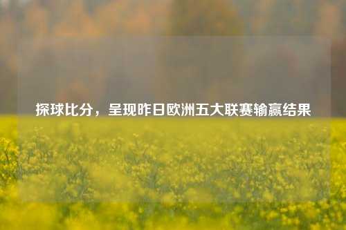 探球比分，呈现昨日欧洲五大联赛输赢结果