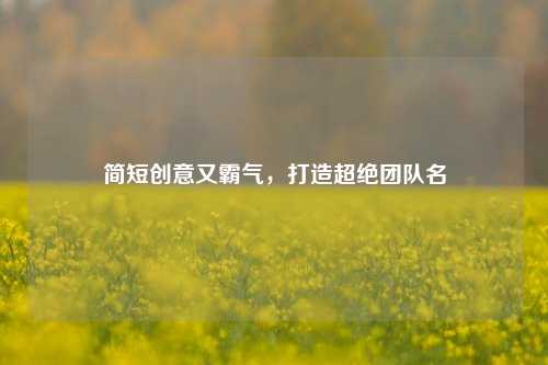 简短创意又霸气,打造超绝团队名