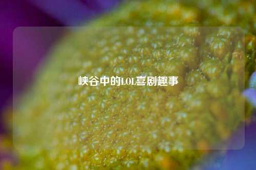 峡谷中的LOL喜剧趣事