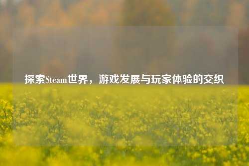 探索Steam世界，游戏发展与玩家体验的交织