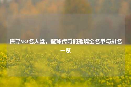 探寻NBA名人堂，篮球传奇的璀璨全名单与排名一览