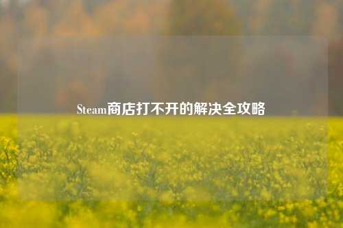 Steam商店打不开的解决全攻略
