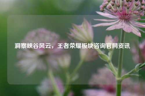 洞察峡谷风云，王者荣耀板块咨询官网资讯