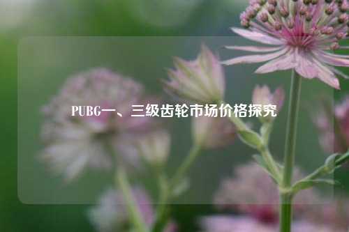 PUBG一、三级齿轮市场价格探究