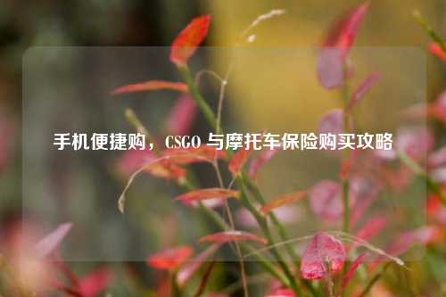 手机便捷购，CSGO 与摩托车保险购买攻略