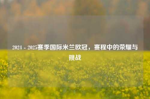 2024 - 2025赛季国际米兰欧冠,赛程中的荣耀与挑战