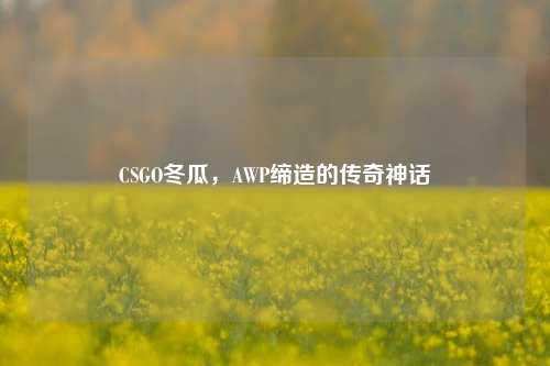 CSGO冬瓜,AWP缔造的传奇神话